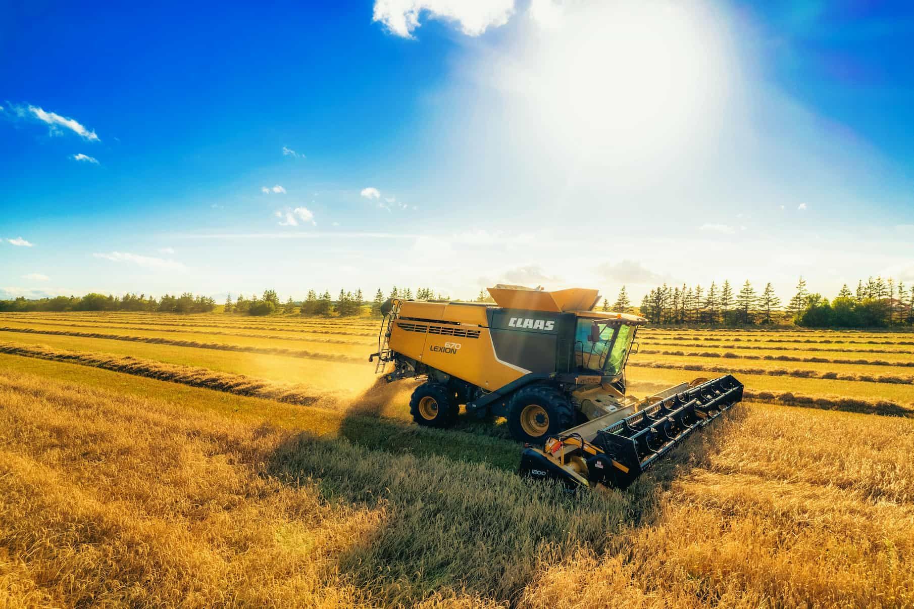A Combine Harvester Is Working in A Field of Wheat — Parkes Machinery Services PTY LTD in Forbes, NSW