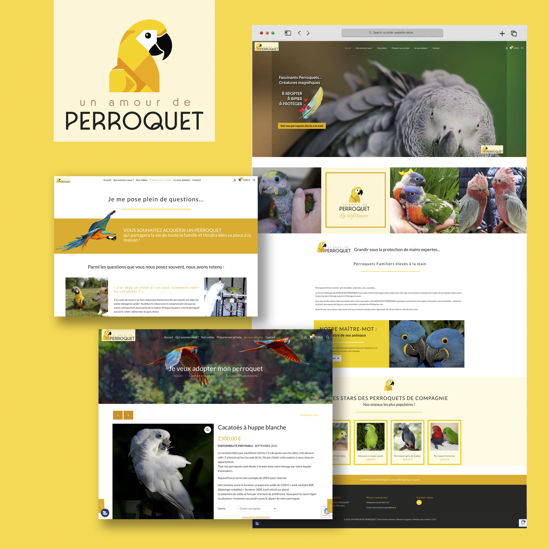 Captures d'écran d'un site Web « Un amour de Perroquet », présentant des photos de perroquets.