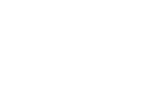 Forcepoint