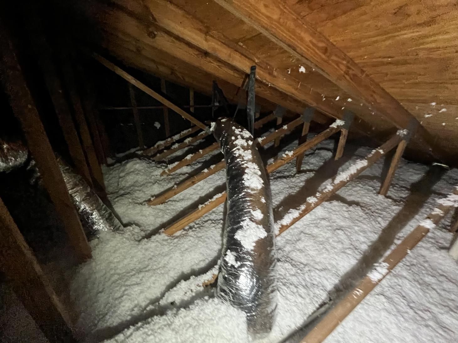 A group of construction workers are insulating the ceiling of a building.