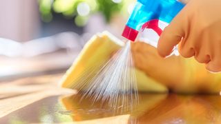 Professional Cleaning Service — Lexington, KY — Precise Cleaning Solutions LLC