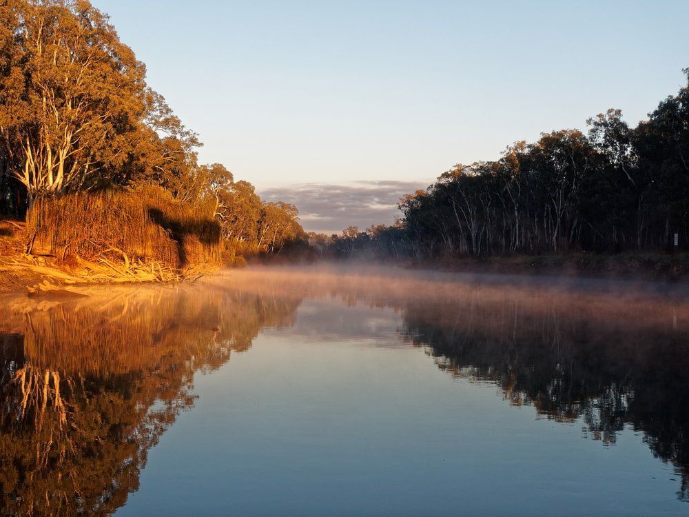 Early Morning Sunrise Glow And Rising Mist Over The Murray River — Custom Blinds in Corowa, NSW