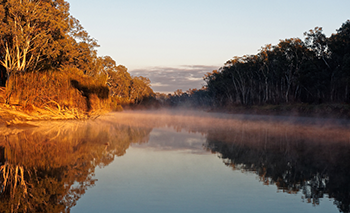 Early Morning Sunrise Glow And Rising Mist Over The Murray River — Custom Blinds in Corowa, NSW