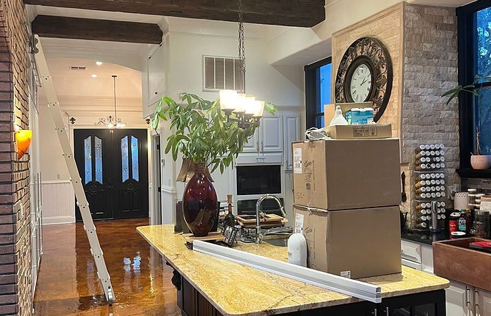 Ladder in a kitchen with boxes and plant on the island, a doorway in the background.