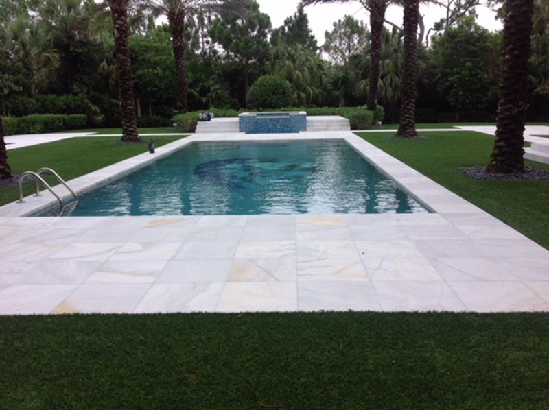 A large swimming pool surrounded by palm trees and grass