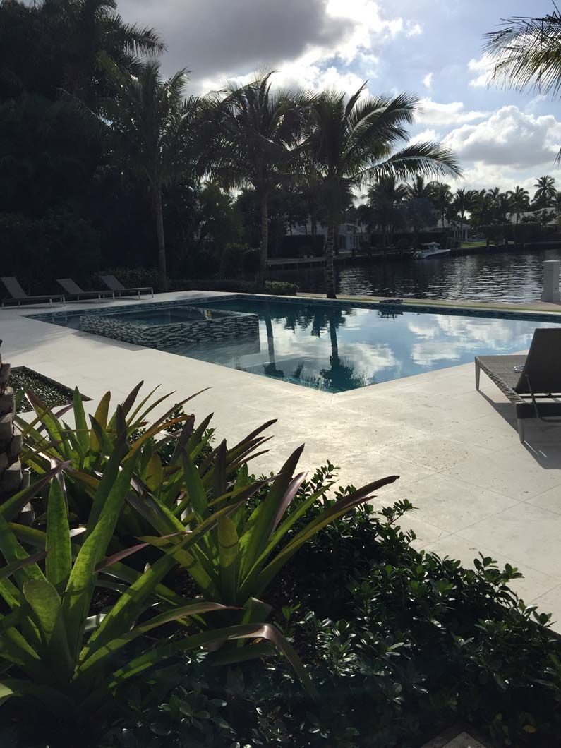 A large swimming pool with palm trees in the background