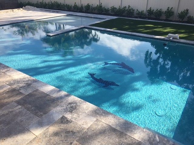 A large swimming pool with two dolphins in the water.