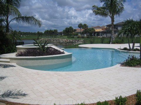 A large swimming pool is surrounded by palm trees