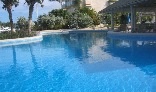 A large swimming pool surrounded by palm trees and a building.