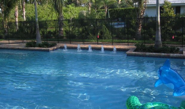 A large swimming pool with a dolphin float in the water.