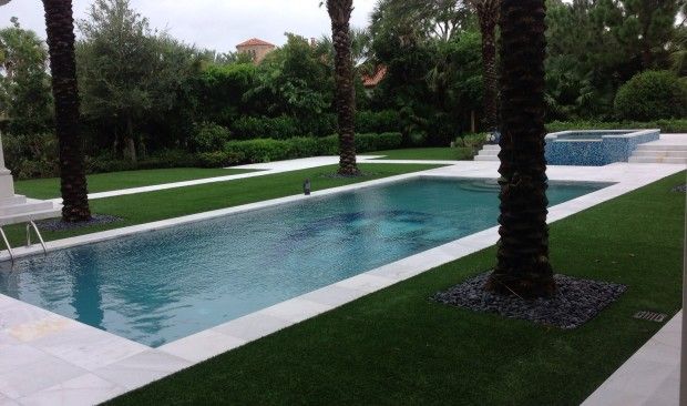 A large swimming pool surrounded by palm trees in a backyard