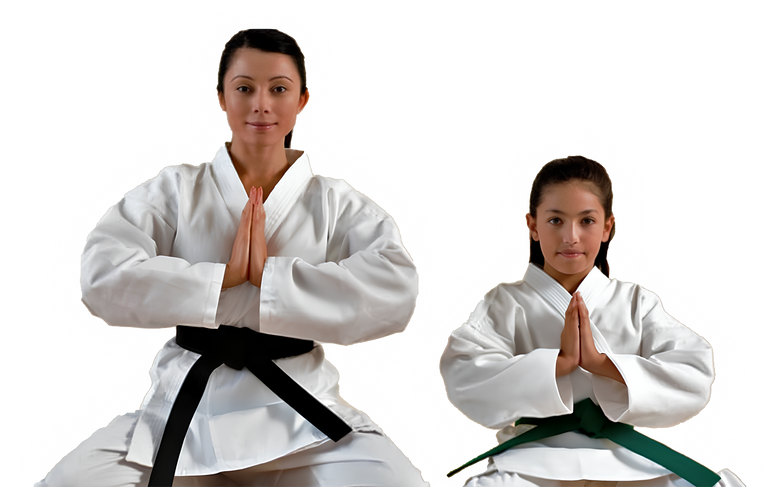 a woman with a black belt and a girl with a green belt are practicing karate