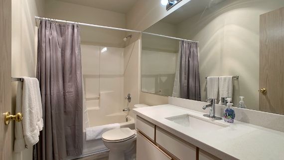 A bathroom with a sink , toilet , shower and mirror.