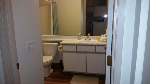 A bathroom with a toilet a sink and a mirror