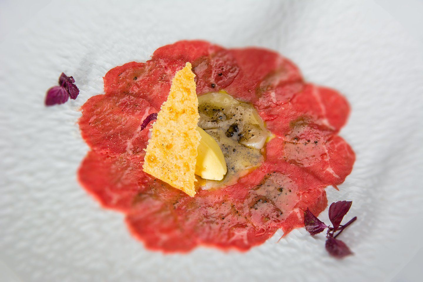 Plat - carpaccio de viande Maine Anjou accompagné de saint jacques