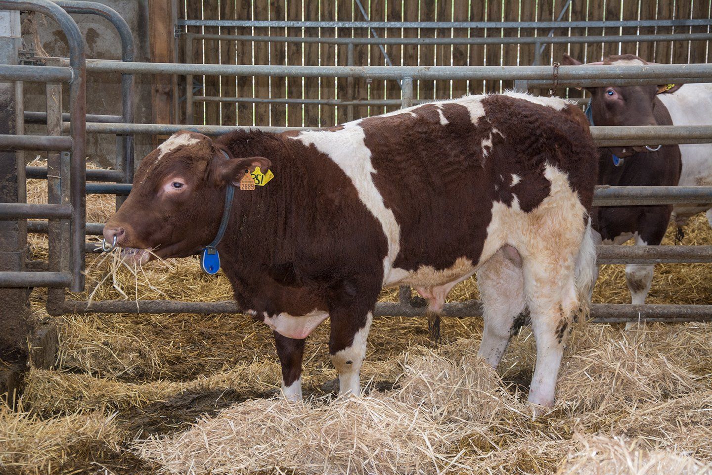 visite du domaine des rues