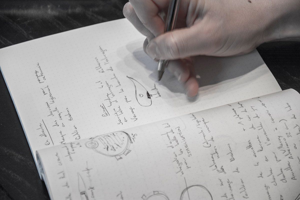 Réflexion sur la forme de la tête d'esturgeon