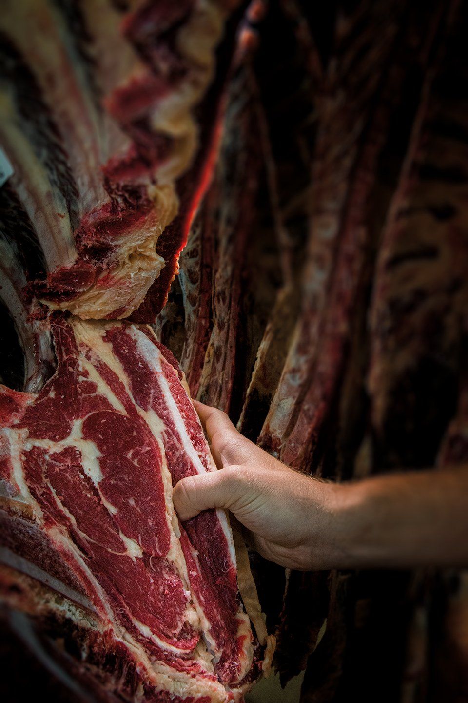 Tendreté de la viande maturée Dry Aged Adema