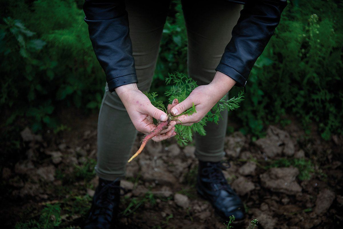 college_culinaire_de_france_chez_eric_roy_champs_carotte