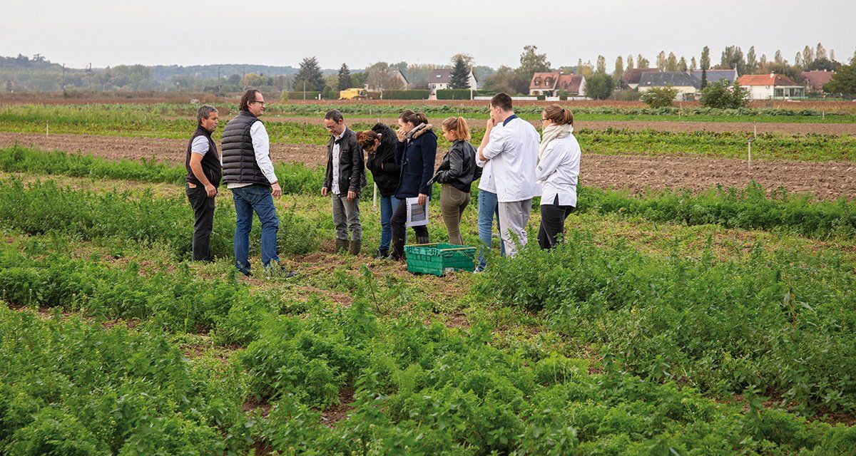 college_culinaire_de_france_chez_eric_roy_champs_didier_edon