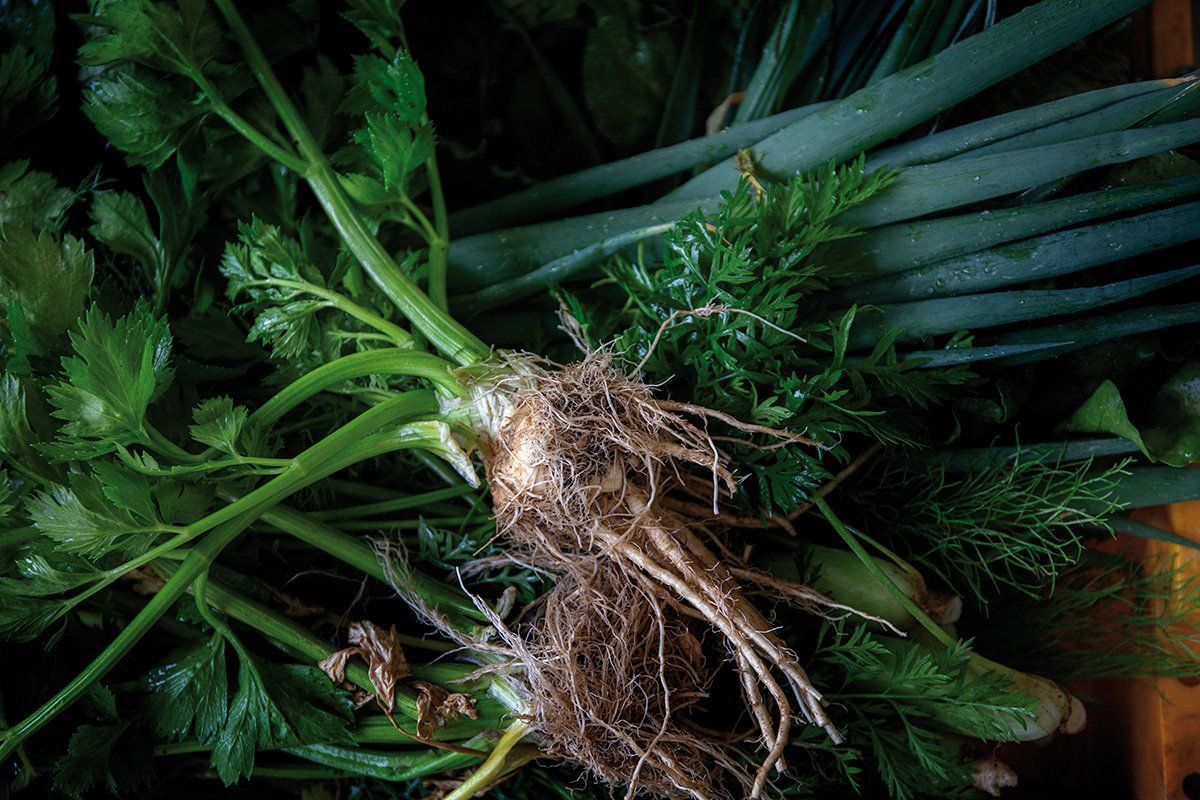 college_culinaire_de_france_chez_eric_roy_legumes