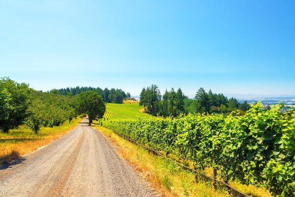 wine tasting tours in McMinnville OR