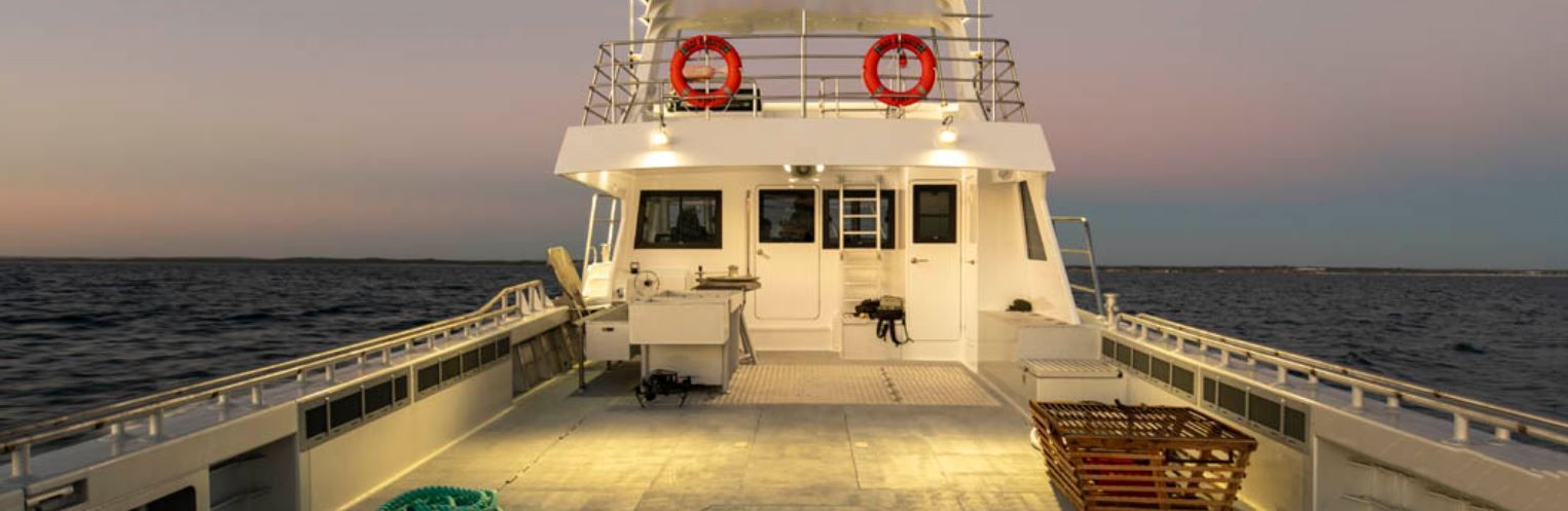 The MAFI intake grilles showing either side of the deck mounted in the bullwark.