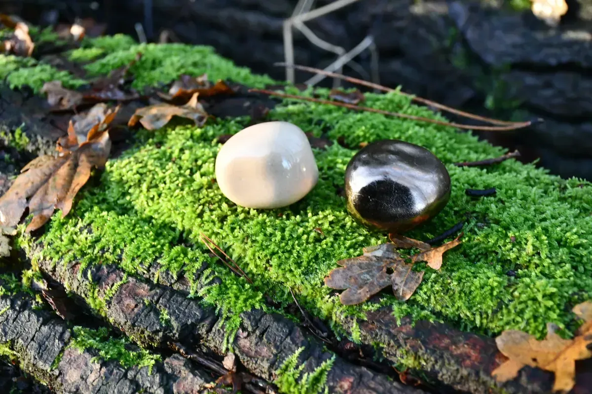 Een witte kiezelsteen ligt op een wit oppervlak.