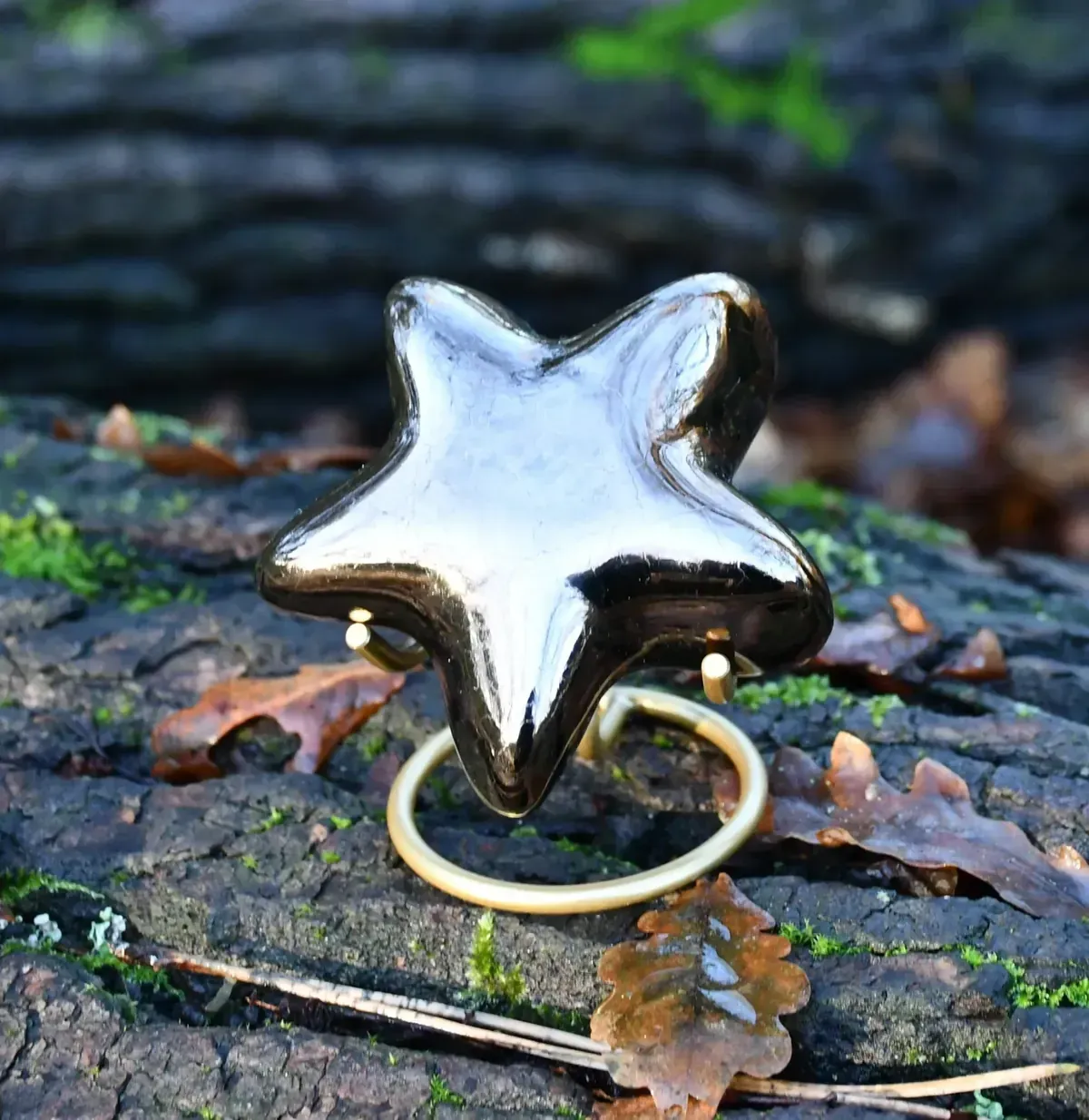 Een zwarte ster op een witte achtergrond met een schaduw