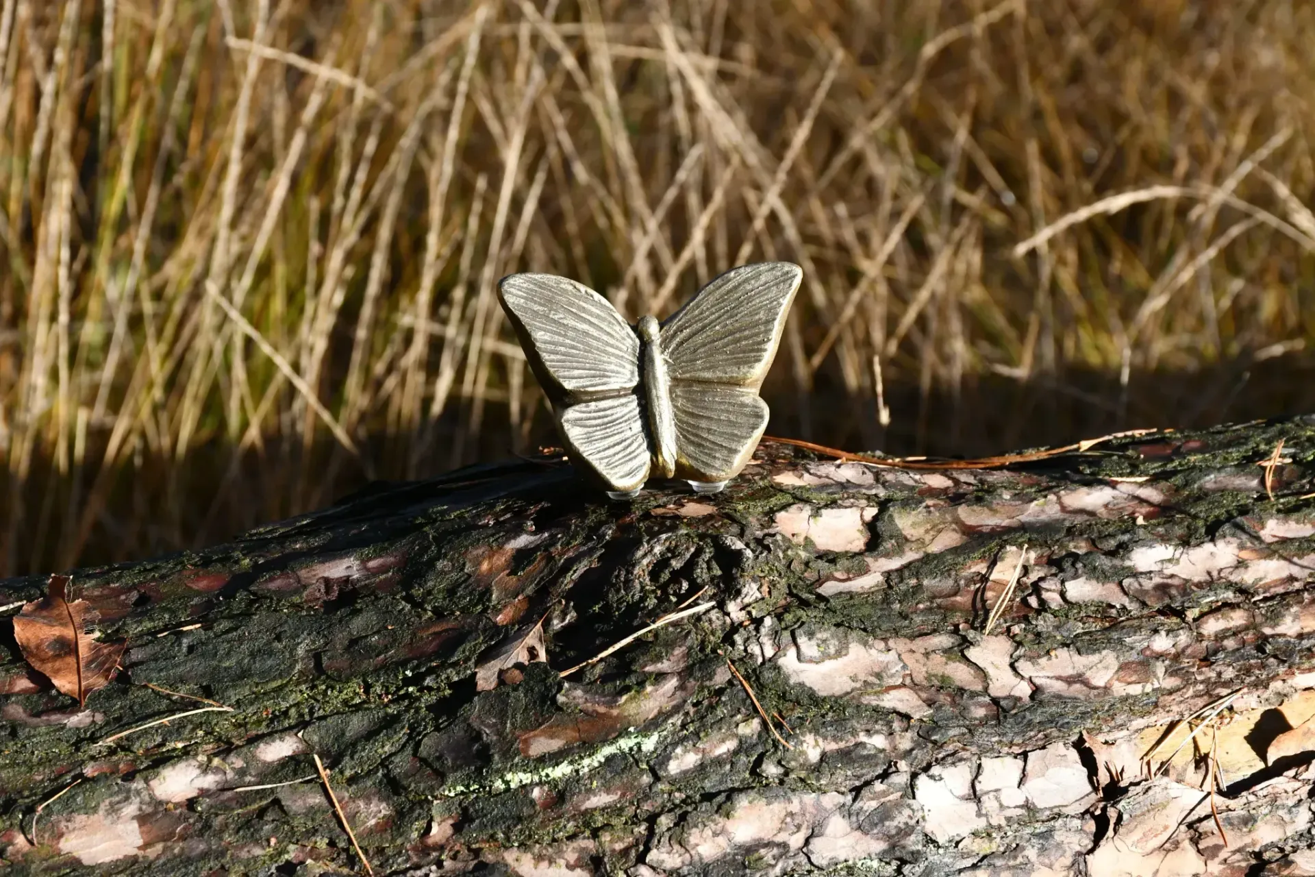 Een gouden vlinder zit op een wit oppervlak