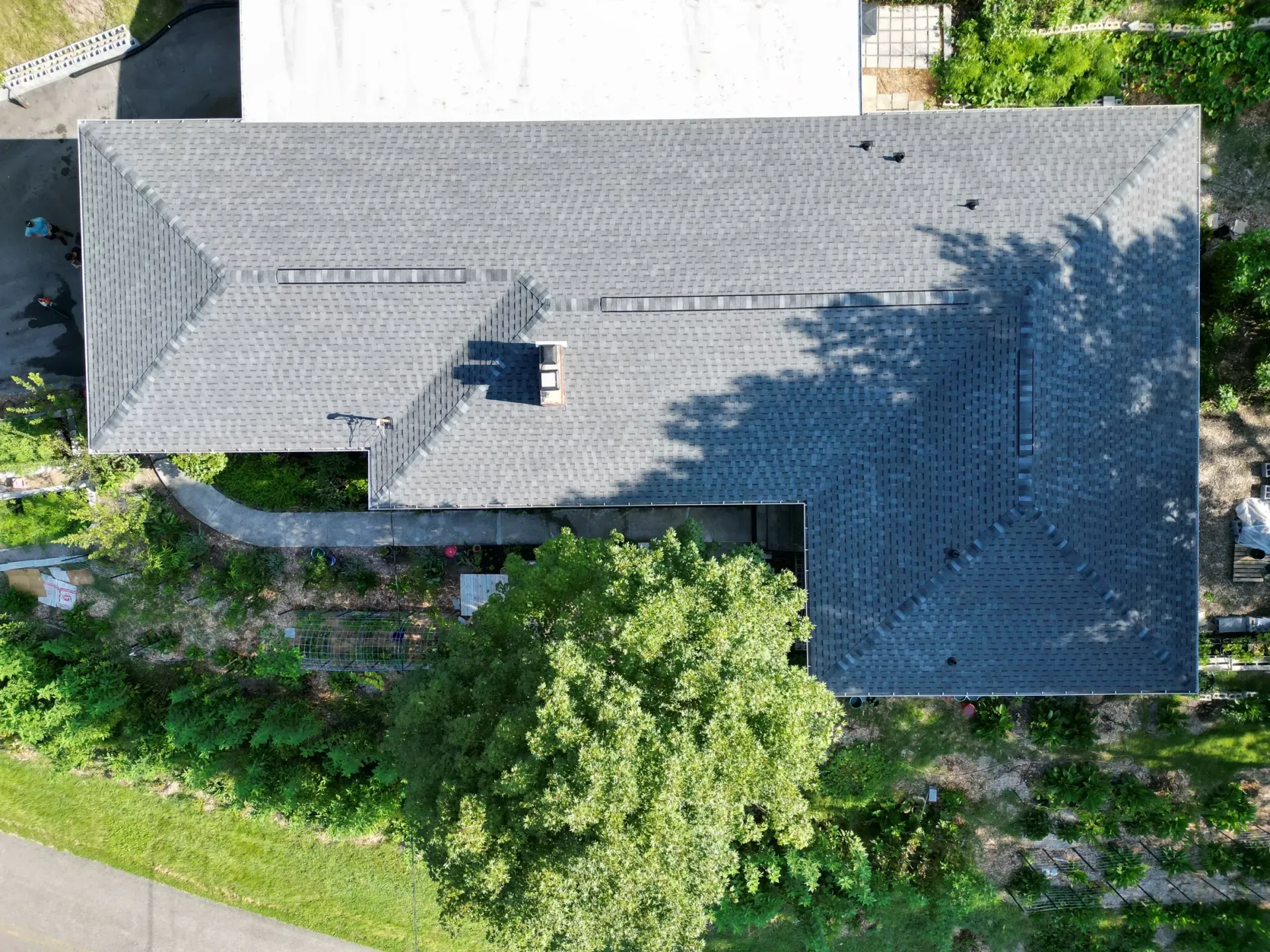 asphalt shingle roof Kingsport TN