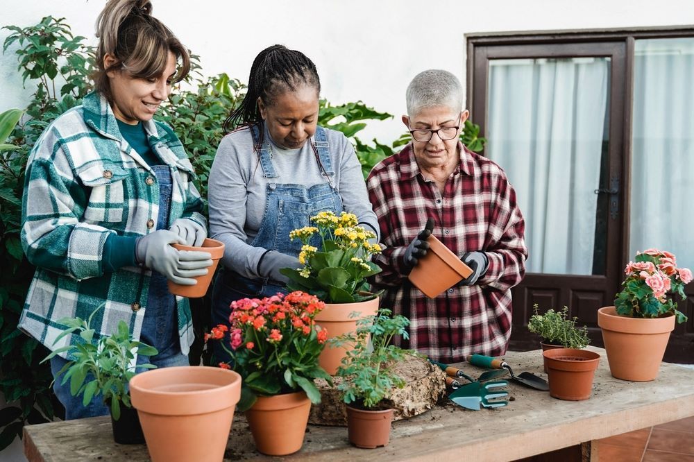 A Group of People Are Planting Flowers in Pots on a Table — Eleos Support Services In Lavington, NSW