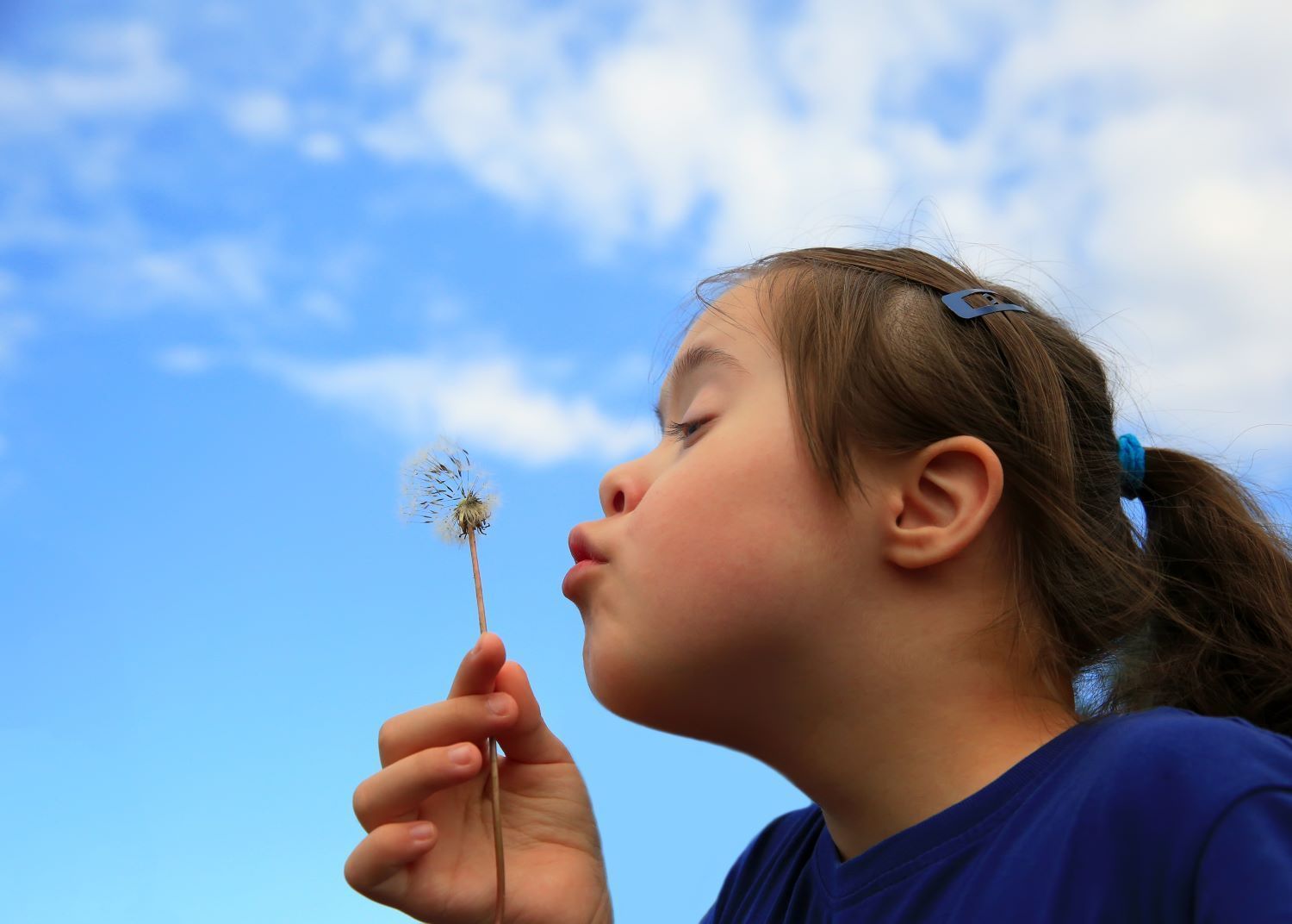 Little Girl Blowing Dandelion On Background Of The Blue Sky — Eleos Support Services In Lavington, NSW