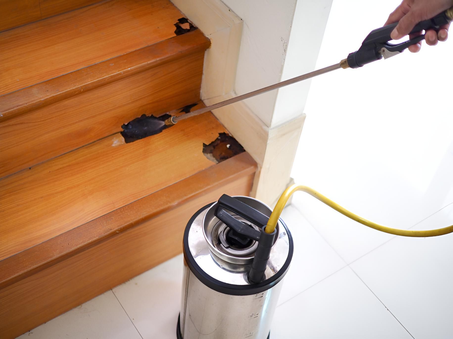 Person is Spraying a Wooden Staircase — Shark Pest Control in Peregian Beach, QLD
