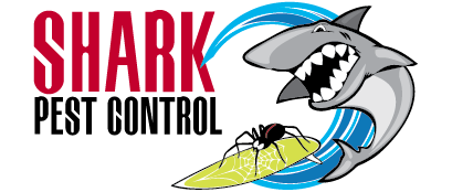 Pest Control Services on the Sunshine Coast