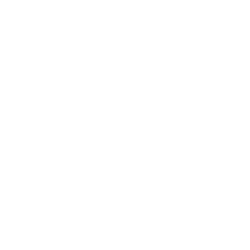 Alpha by Skross premium travel adapter logo