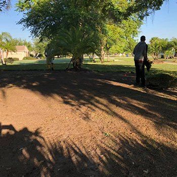 Men Clearing Land — Lakewood Ranch FL — Emerald Green of Bradenton Men Clearing Land — Lakewood Ranch FL — Emerald Green of Bradenton