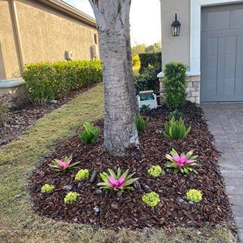 Pink Plants — Lakewood Ranch FL — Emerald Green of Bradenton