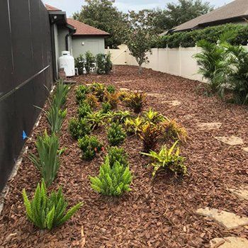 Various Plants — Lakewood Ranch FL — Emerald Green of Bradenton