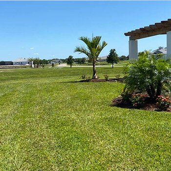 Huge Lawn After Mowing — Lakewood Ranch FL — Emerald Green of Bradenton Huge Lawn After Mowing — Lakewood Ranch FL — Emerald Green of Bradenton