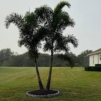 Lawn After Mowing — Lakewood Ranch FL — Emerald Green of Bradenton