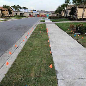 Sod Installation For Residential Pathway — Lakewood Ranch FL — Emerald Green of Bradenton