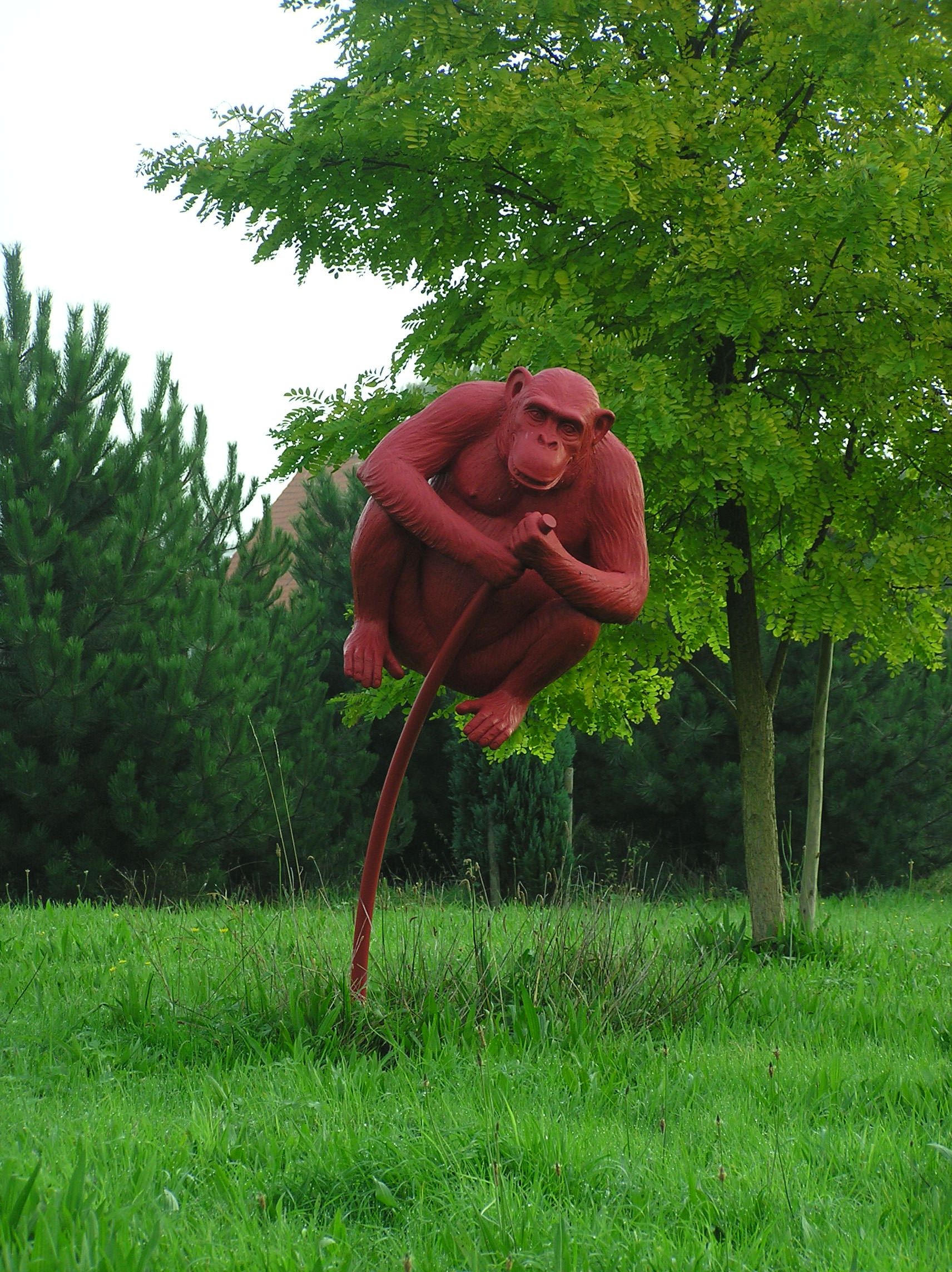 L'avant-garde de l'armée rouge