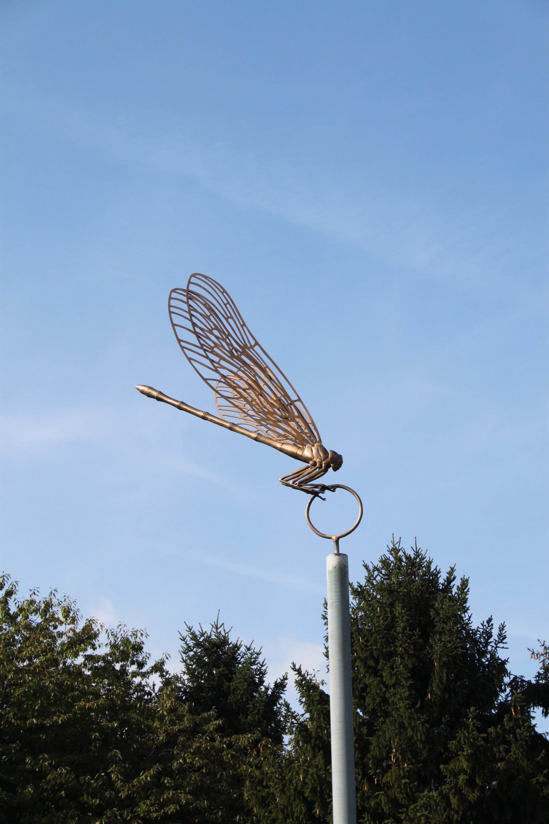 De fietsende libellule