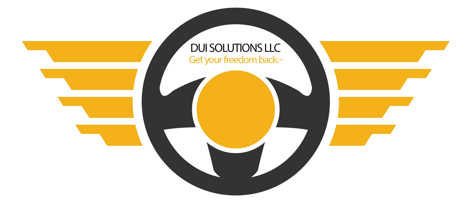 DWI/DUI CLASSES LIVE - Nationwide DWI & DUI CLASSES to get your life back.