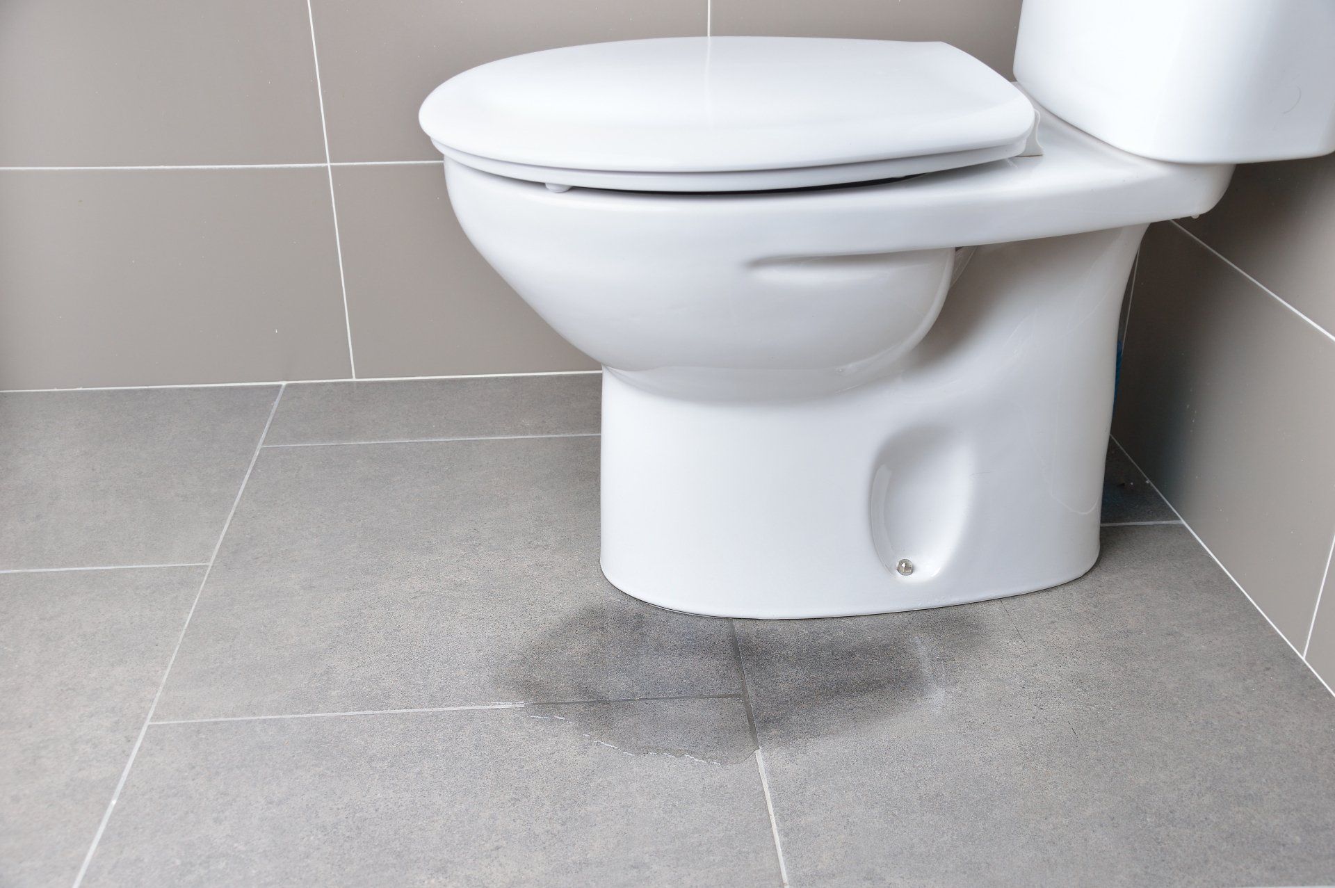 A white toilet sits on a tiled floor in a bathroom