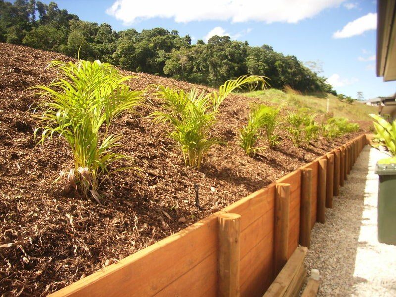 Plants — Landscaping and Paving Service in Trinity Beach, QLD