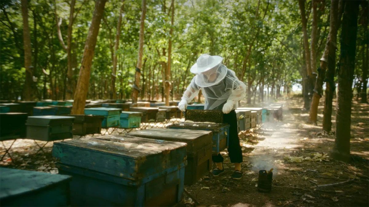 A beekeeper is working on a beehive in the woods.