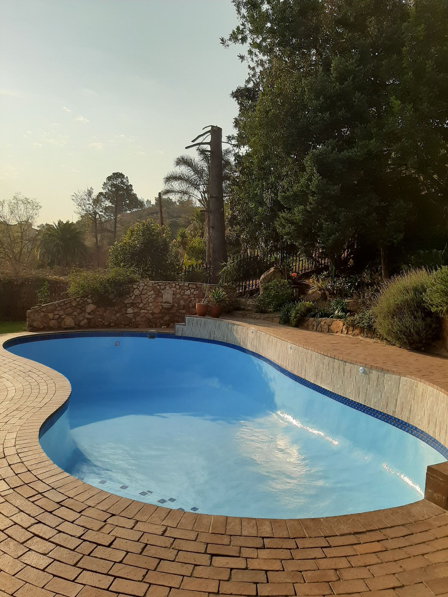 Blue kidney-shaped swimming pool with brick deck and trees in a sunny backyard