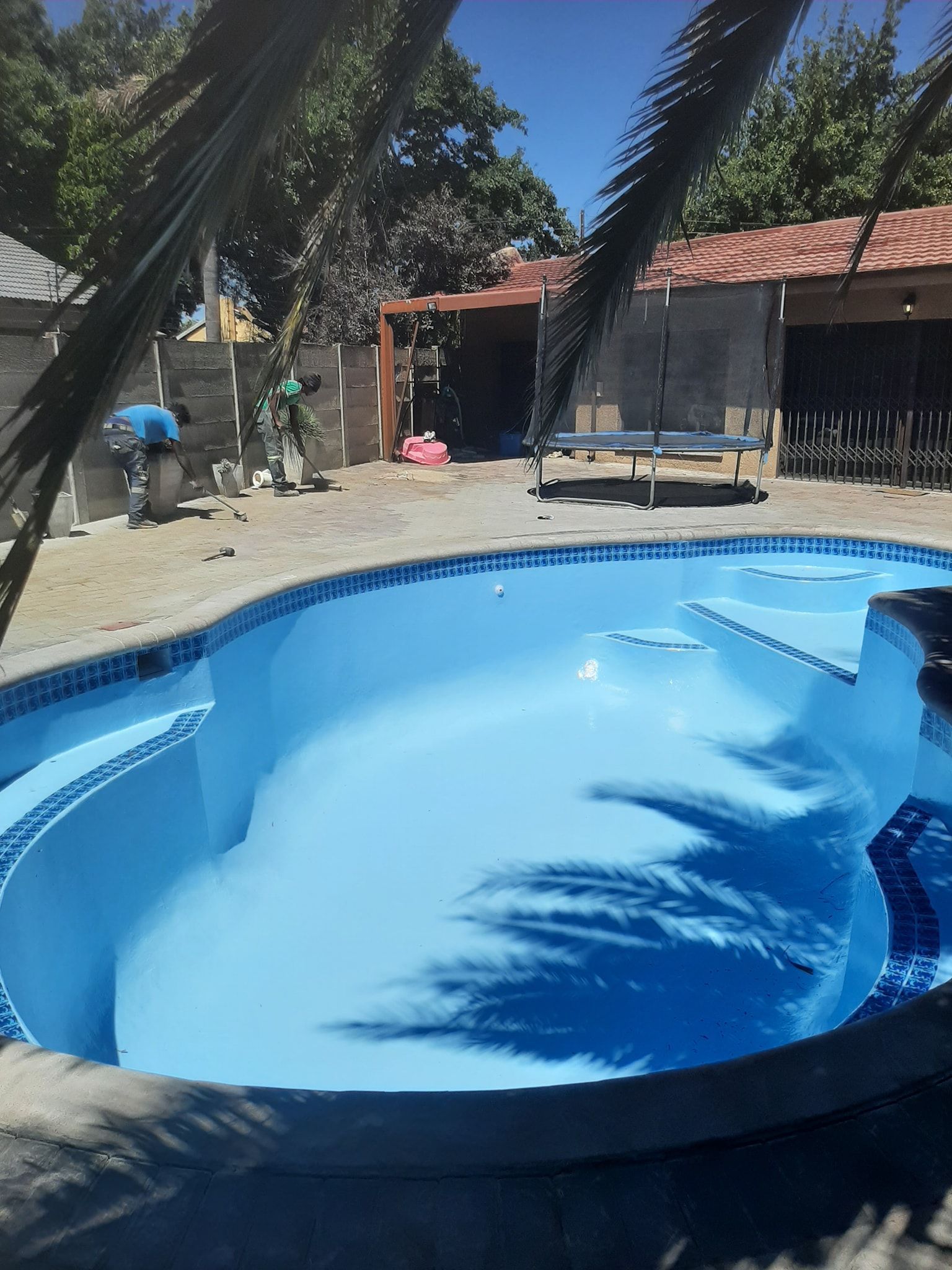 Backyard with a blue swimming pool, palm shadows, and a small house in the background